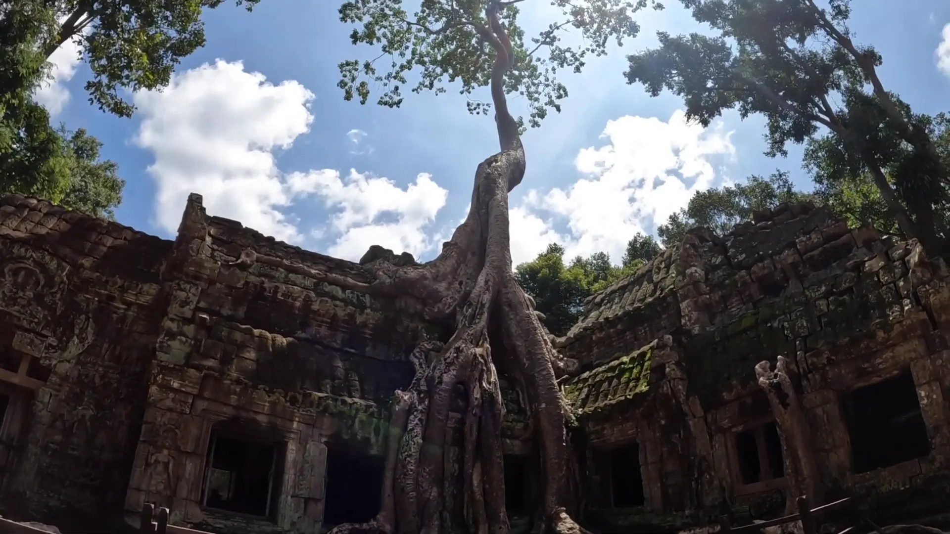 Ta Prohm temple surrounded by nature